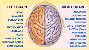 brain based